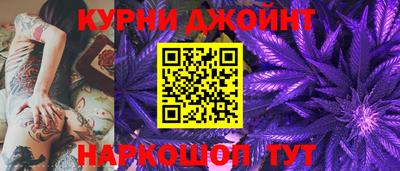 крисы Аргун