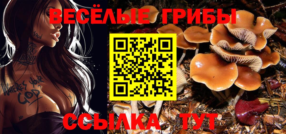 Псилоцибиновые грибы GOLDEN TEACHER  закладка  Псилоцибиновые грибы мицелий  Анжеро-Судженск  Вход с VPN 